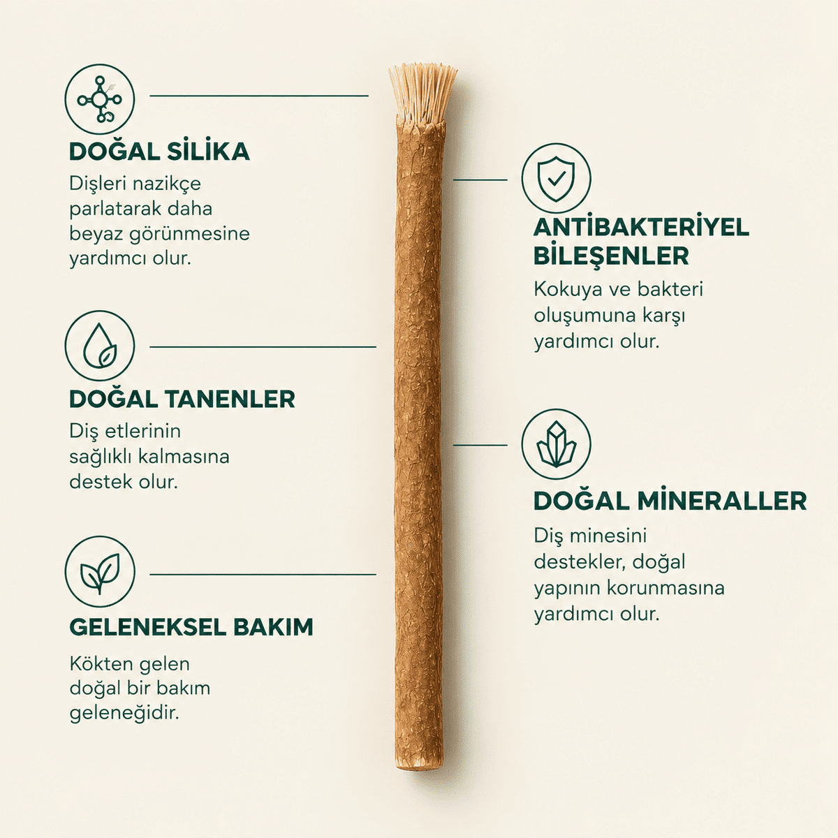 Doğal Misvak Diş Fırçası